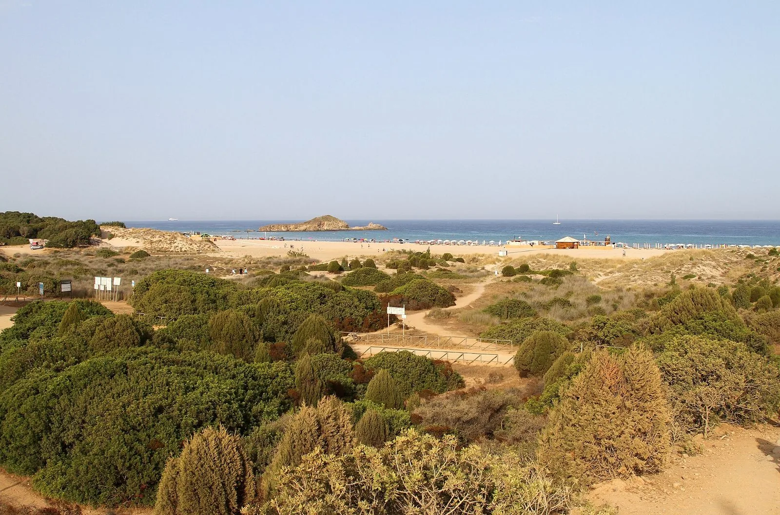 La spiaggia di Su Giudeu in piena estate vista dalle dune coperte di ginepri, con ombrelloni sulla sabbia e l'isolotto davanti alla riva